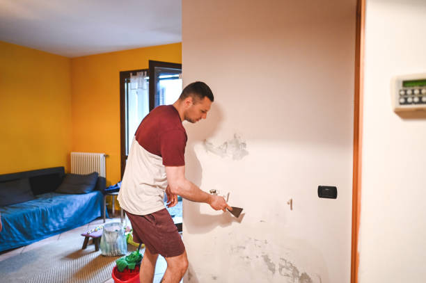 Best Commercial Mold Remediation in Chepachet, RI